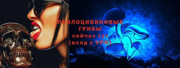 скорость Пересвет