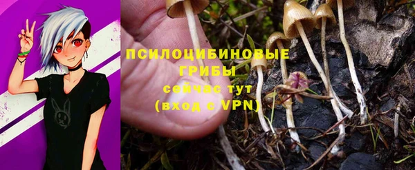 мяу мяу мука Пестово