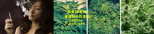ГАЛЛЮЦИНОГЕННЫЕ ГРИБЫ Переславль-Залесский